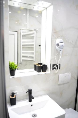 a bathroom with a sink and a mirror at LAGUNA Apartments in Vranje