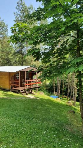 Domki letniskowe pod Brzozami Stella