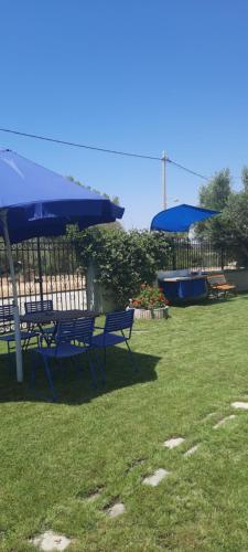 two blue benches and umbrellas in a park at BS Village in Metamorfosi