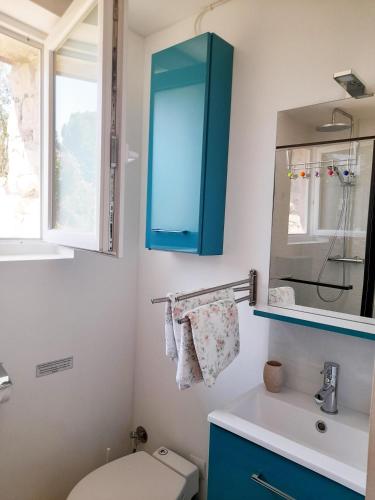 La salle de bains est pourvue d'une armoire bleue au-dessus des toilettes. dans l'établissement Mazet 2 pers dans havre de paix cévennol, à Laroque