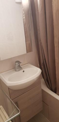 une salle de bain avec un lavabo et un rideau de douche dans l'établissement Studio Aussois chaleureux, à Aussois