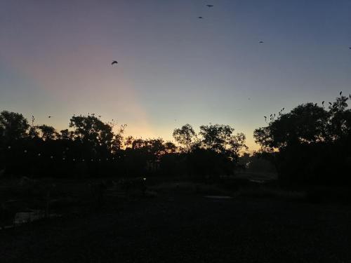 a sunset in a field with trees in the background at Lembah Saerah Resort in Kangar