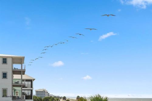 a flock of birds flying in the sky over a building at Sun&Fun - Oceanfront, Quiet beach, Arcade games in Indian Pass