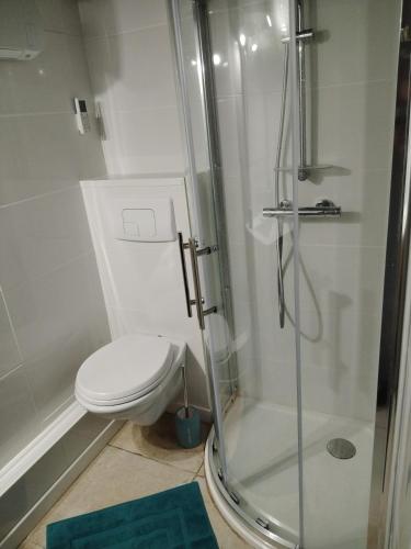 une salle de bain avec toilettes et douche dans l'établissement Gites Torreillans - Nid douillet, à Torreilles