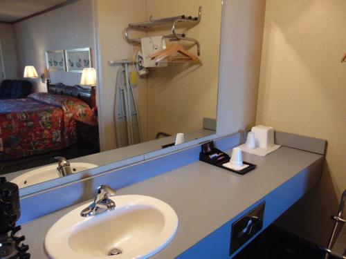 a bathroom with a sink and a large mirror at Heritage House Inn in Muleshoe