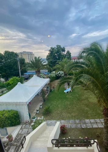 an aerial view of a garden with a tent and palm trees at Spazio DIBA in Ortona