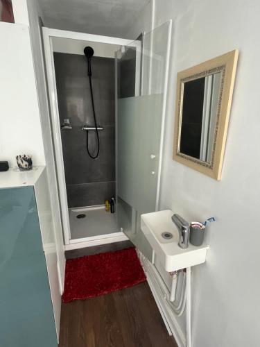 La petite salle de bains est pourvue d'une douche et d'un lavabo. dans l'établissement Studio lumineux Batignolles, à Paris