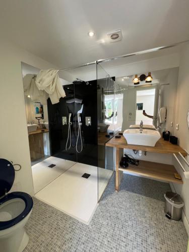 Un baño con lavabo, inodoro y espejo. en La Maison Fiets Meuse & Vélo, en Damblain