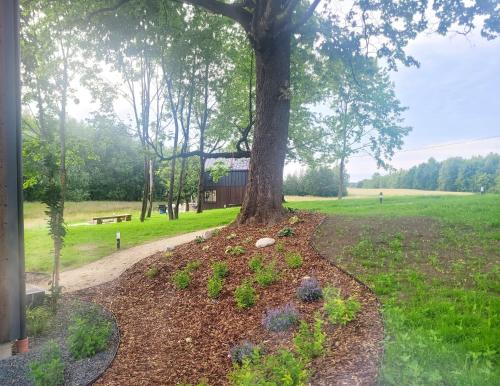 a tree in the middle of a park at Vilanovka - domki z balią in Wilanowo