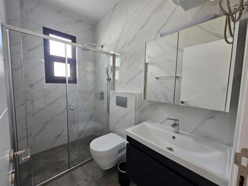 a bathroom with a shower and a toilet and a sink at Pompeius Beachside Retreat 2-Bedroom Apartment g-7 in Perivolia tou Trikomou