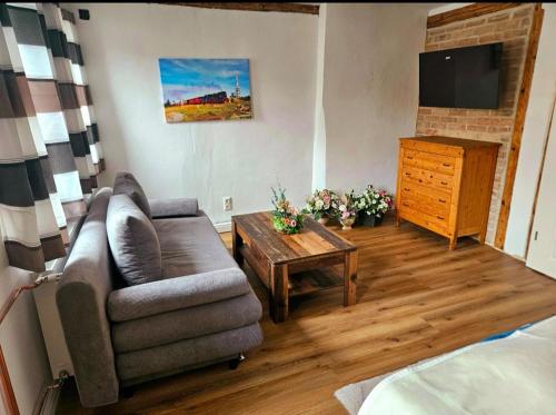 TV a/nebo společenská místnost v ubytování Ferienwohnung zu den Ilsefällen I