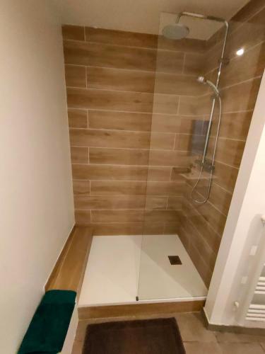 une douche avec une porte vitrée dans une salle de bain dans l'établissement Idéal famille & couple, à Moissac