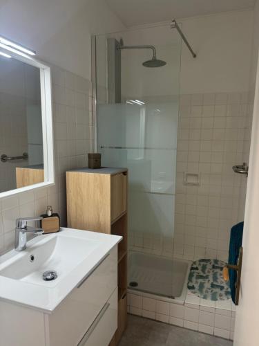 une salle de bain avec un lavabo blanc et une douche dans l'établissement Le Marin, à Saint-Cyprien