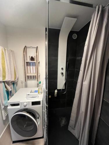 La petite salle de bains est pourvue d'un lave-linge et d'une douche. dans l'établissement Studio au coeur de Saint Lary, à Saint-Lary-Soulan