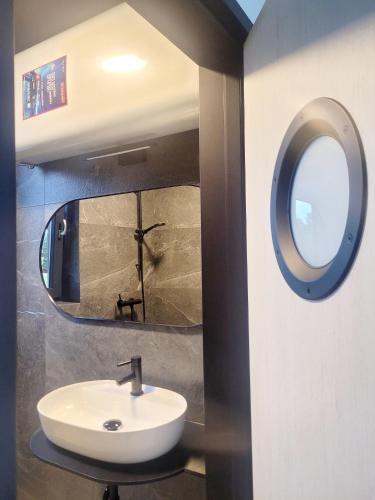 a bathroom with a sink and a mirror at Vilanovka - domki z balią in Wilanowo