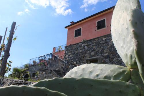 Foto La casa di Sassolino 1