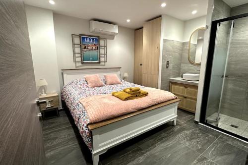 une chambre avec un lit et une salle de bain avec douche dans l'établissement Appartement T2 Vue Mer Porticcio, à Porticcio