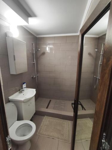 a small bathroom with a toilet and a shower at Apartament Luna in Jurilovca