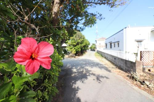 Fotografie z fotogalerie ubytování グランメール親川 v destinaci Nago
