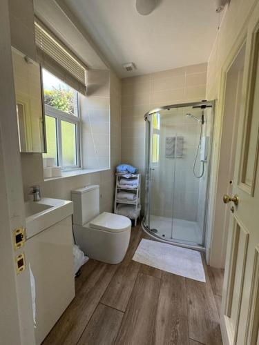a bathroom with a shower and a toilet and a sink at Railway Cottage in Cork