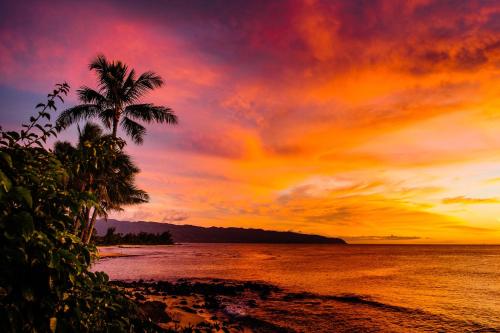 Gallery image of Spacious North Shore Apartment Near V-Land in Haleiwa