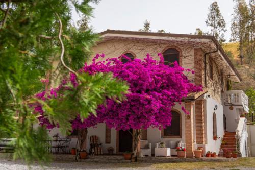 a house with a purple flower tree in front of it at Tenuta Severino in Santa Caterina Dello Ionio Marina
