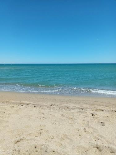 une plage de sable avec l'océan en arrière-plan dans l'établissement Appartement SAINT CYPRIEN Plage Résidence Les Mas de la Mer, à Saint-Cyprien