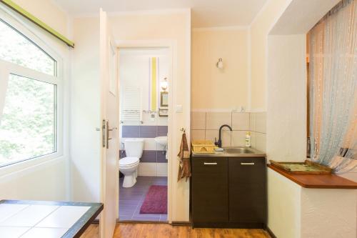 un bagno con lavandino, water e finestra di Pokoje Gościnne u Markusa a Polanica-Zdrój