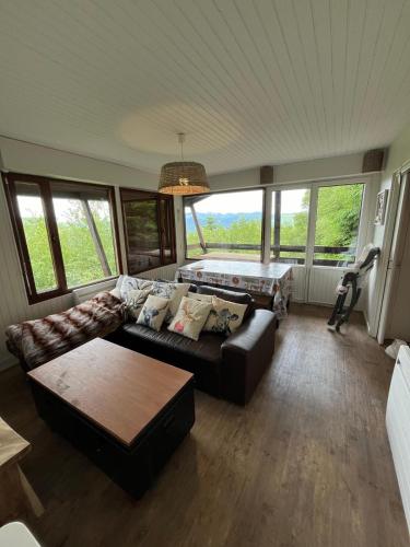 un salon avec un canapé et une table dans l'établissement Chalet au Pla d'Adet, à Saint-Lary-Soulan