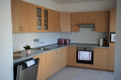 a kitchen with wooden cabinets and a sink and a stove at Ubytování U Pivovaru in Kamenice nad Lipou