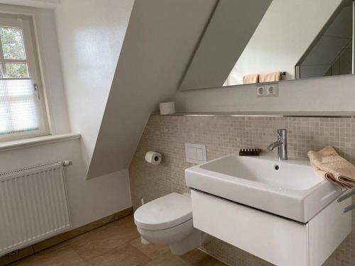 a bathroom with a toilet and a sink and a mirror at Haus-Seemoewe in Süddorf