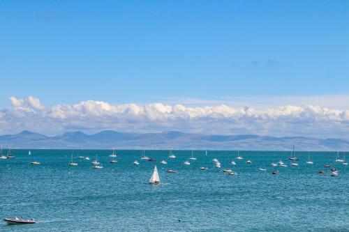 a large group of boats in the water at Mor Glas in Abersoch