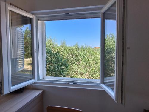 Φωτογραφία από το άλμπουμ του Apartmani Božava σε Božava