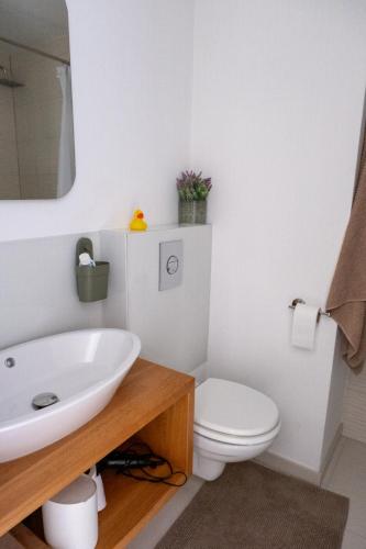 a bathroom with a white sink and a toilet at Apartment Milla in Tomislavgrad