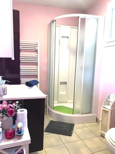 une salle de bain avec une douche avec une porte vitrée dans l'établissement MAISON CHOLLET - Centre - Prox. Thermes - Terrasse, à Vichy