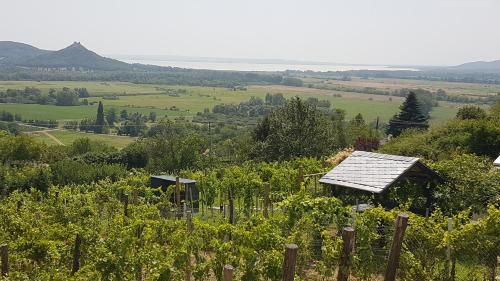 Grand Cru 4 Vendégház 8265 Hegymagas, Mókus körút 2. kép - 3