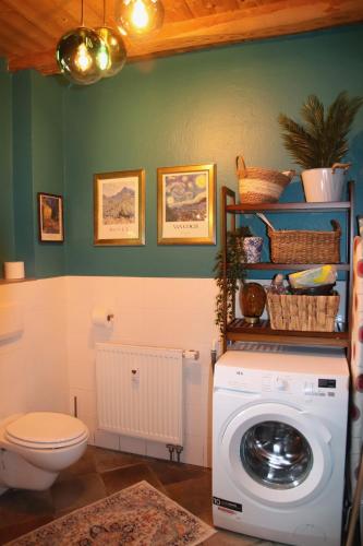 a bathroom with a washing machine and a toilet at Ferienhaus Sohrmühle in Niederbrobritzsch
