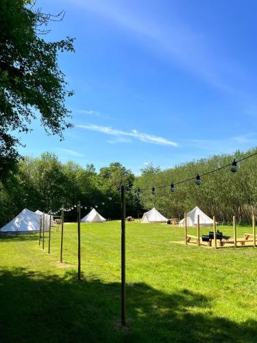 a field with tents and a group of lights at Birch Bell Tent in Droitwich