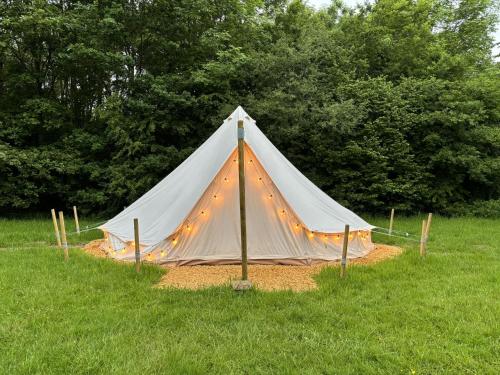 a tent in a field with lights on it at Birch Bell Tent in Droitwich
