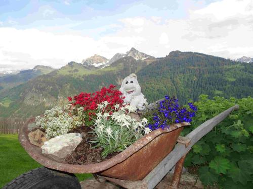 a flower pot filled with flowers on top of a mountain at Haus Mura in Blons