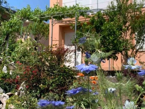 Studio Apartman Tena sa terasom i pogledom na more