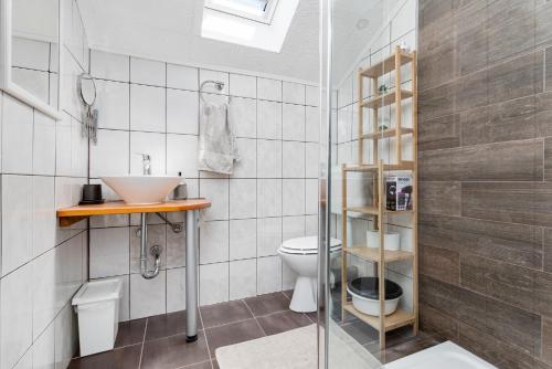 a bathroom with a sink and a toilet at Villa ZaVaLa Brzac in Brzac