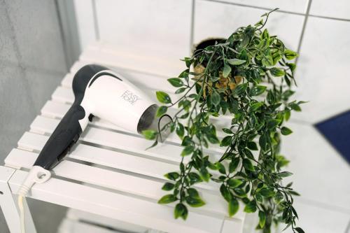 a plant on a white bench with at Grüner Ausblick in Oberkirch