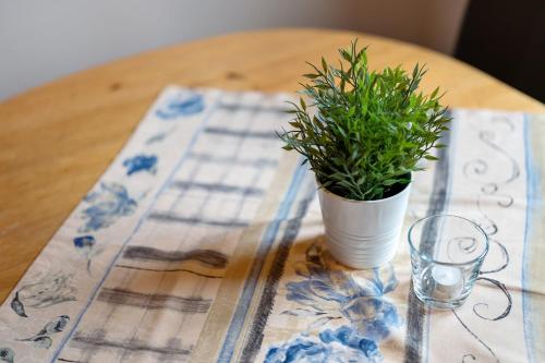 a table with a potted plant on top of a table at Grüner Ausblick in Oberkirch