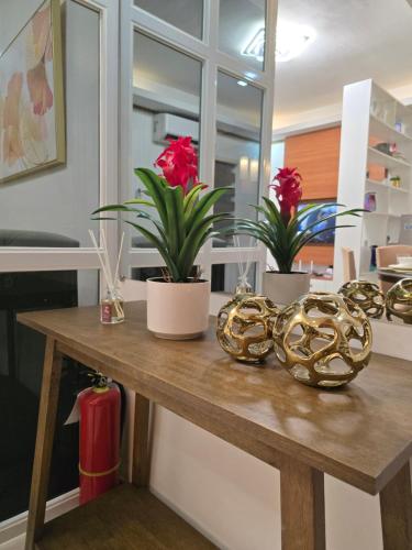 a wooden table with three potted plants on it at Compostela Guest House with Car Park, Wifi, Netflix in Compostela
