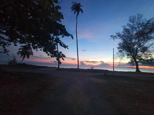 a sunset with two palm trees in a field at Zainab Cottage in Pasir Puteh