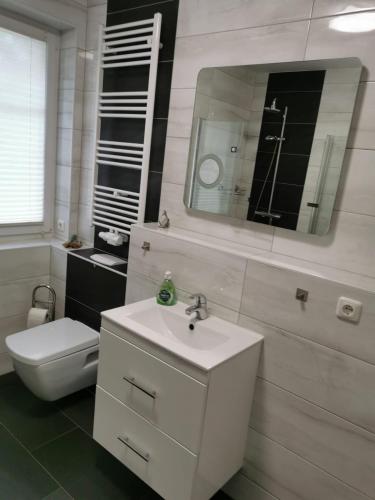 a bathroom with a toilet and a sink and a mirror at Haus Kranichweide in Bodstedt