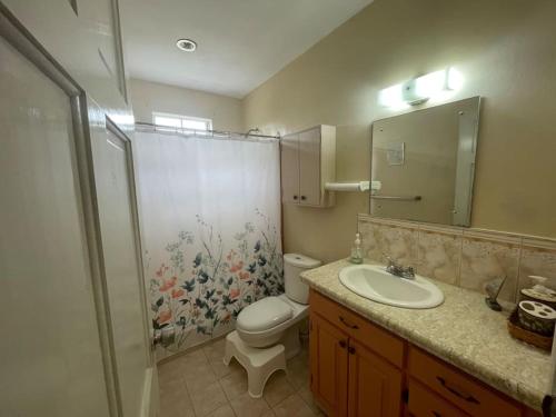 Koupelna v ubytování Valley View Apartment