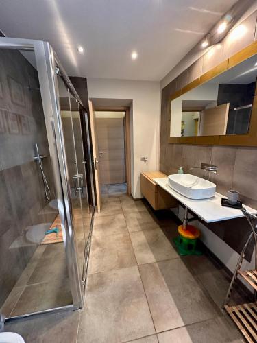 a bathroom with a shower and a sink at Family Relais La Magnolia in Villanova dʼAsti