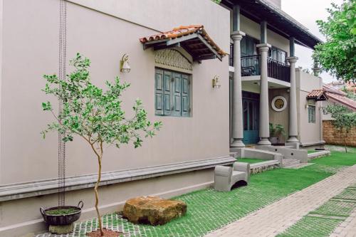 a house with a tree in front of it at Still Waters Artistry in Negombo